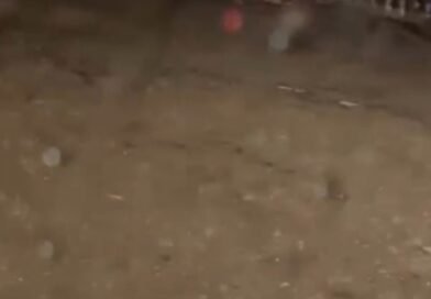 BELO HORIZONTE: PESSOAS ILHADAS DENTRO DE UMA CASA NO DANDARA