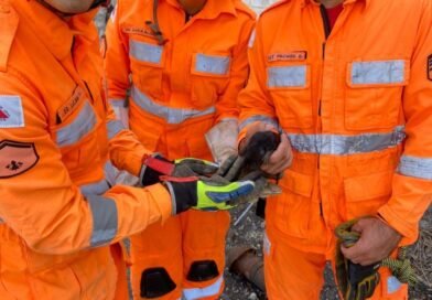 LAGOA SANTA: CADELA DÁ A LUZ DENTRO DE MANILHA E BOMBEIROS SÃO ACIONADOS PARA SALVAR FILHOTE