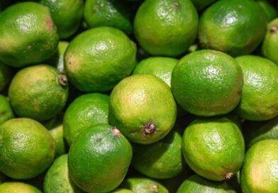 Cliente acusado de furtar limões deve ser indenizado 