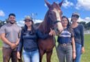 Equoterapia de São Gonçalo do Rio Abaixo recebe mais um animal